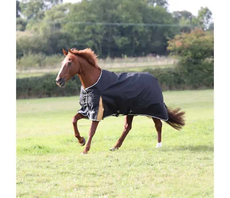 Highlander Plus 200 Turnout Rug in BLACK