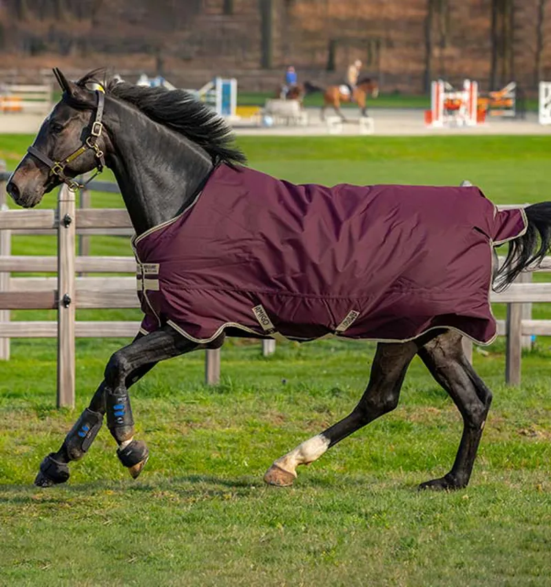 Amigo Hero Ripstop Turnout Rug 50g Fig