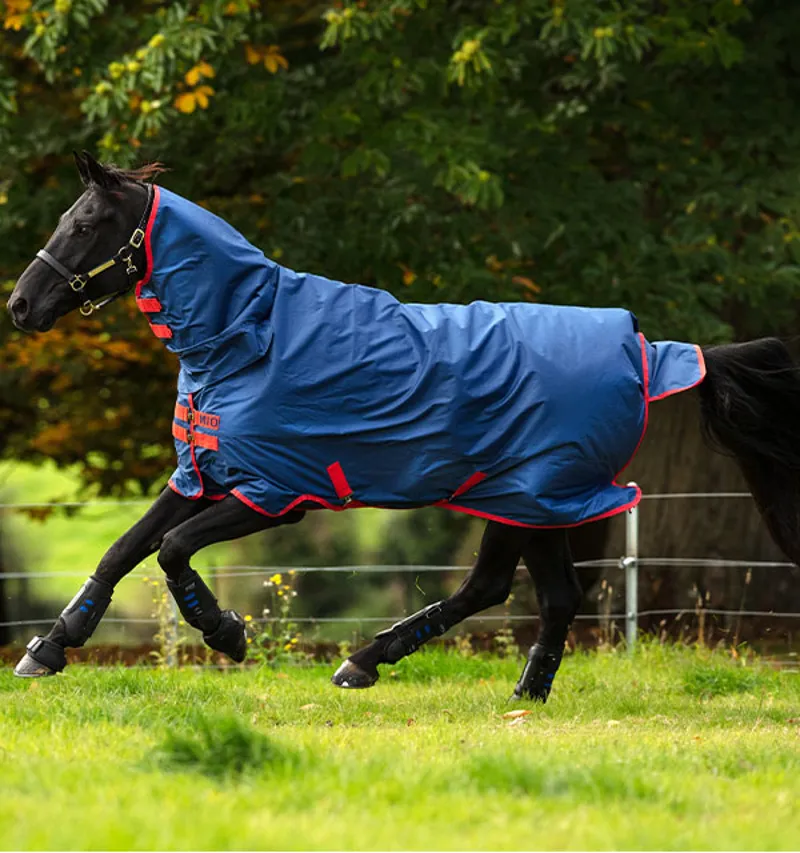 Horseware Mio 1 Piece Turnout Rug 350g Self Bound Dark Blue