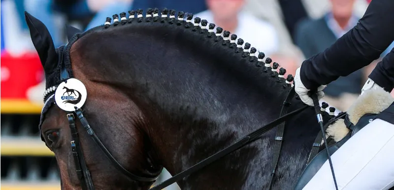 Ezi-Groom Mane Plaiting Bands in White-1