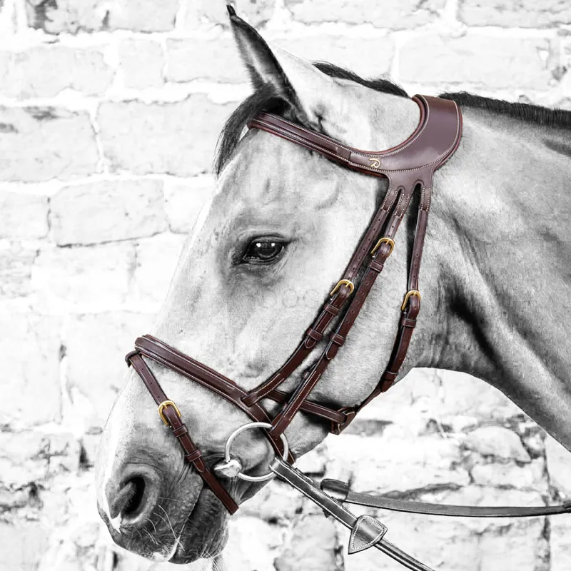 Dy'On Difference Therapeutic Bridle