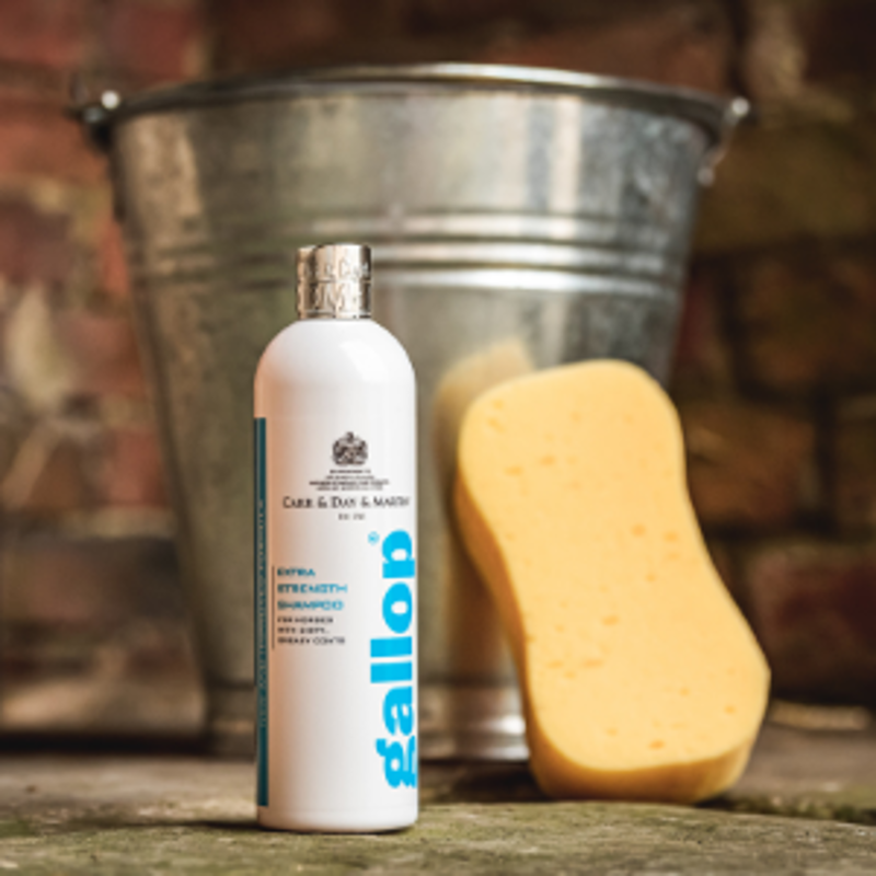 Carr Day Martin Gallop Extra Strength Shampoo-1