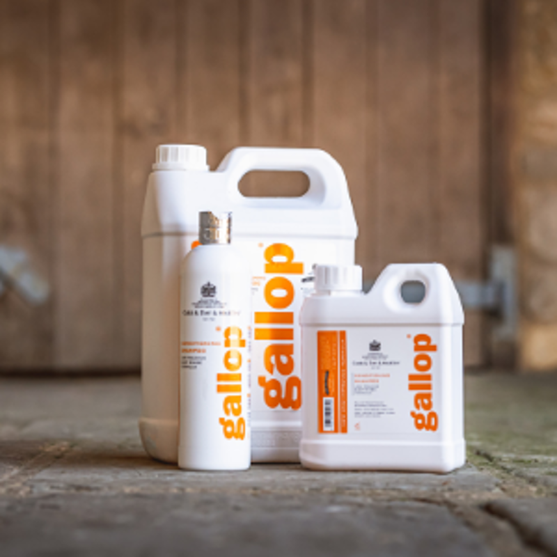 Gallop Conditioning Shampoo-2