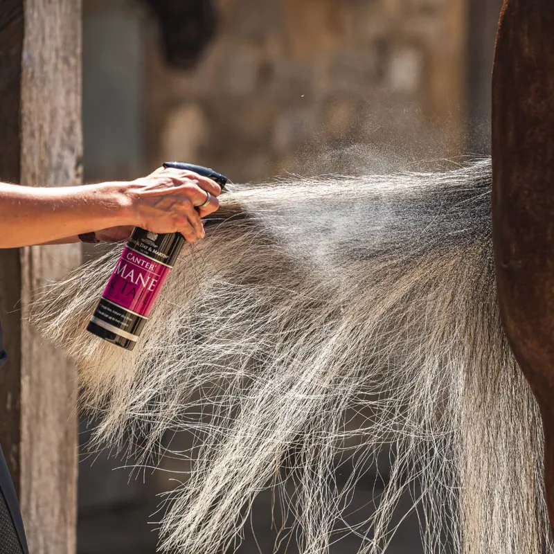 Carr Day Martin Canter Mane and Tail Conditioner-2