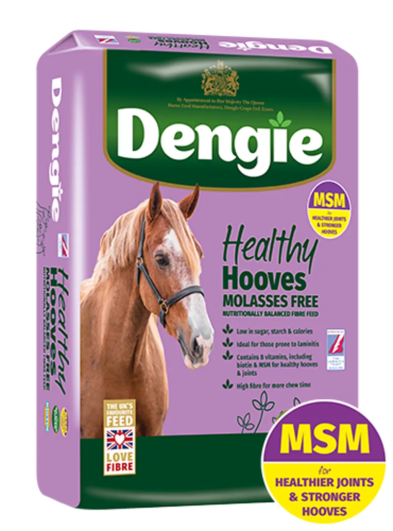 Dengie Healthy Hooves Molasses Free Feed 20kg