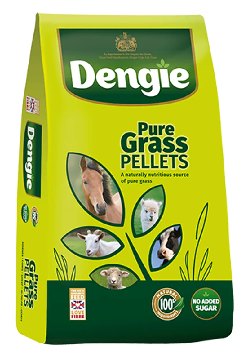 Dengie Pure Grass Pellets 20kg Feed