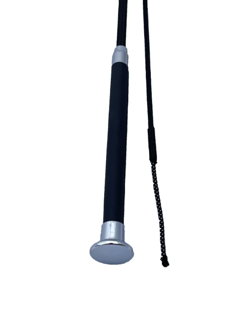 Celtic Equine Whip Dressage 