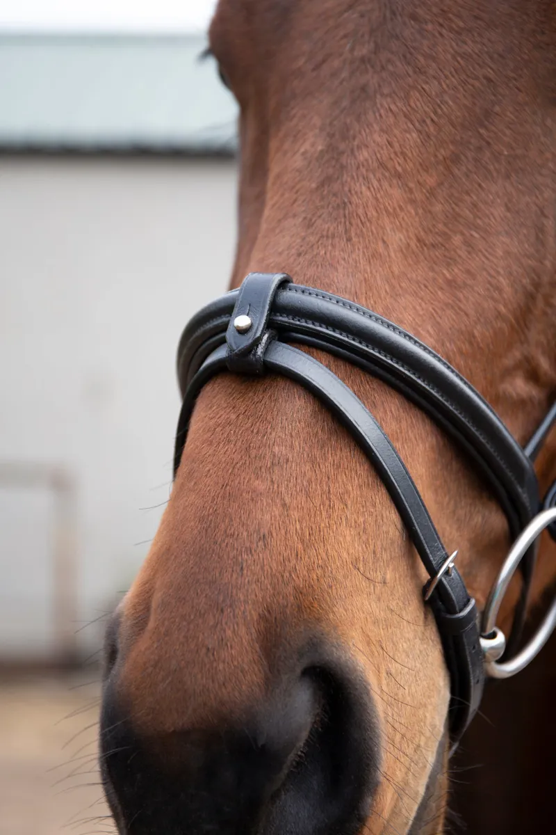 Ecorider Ecosoft Luxe Bridle Black-1