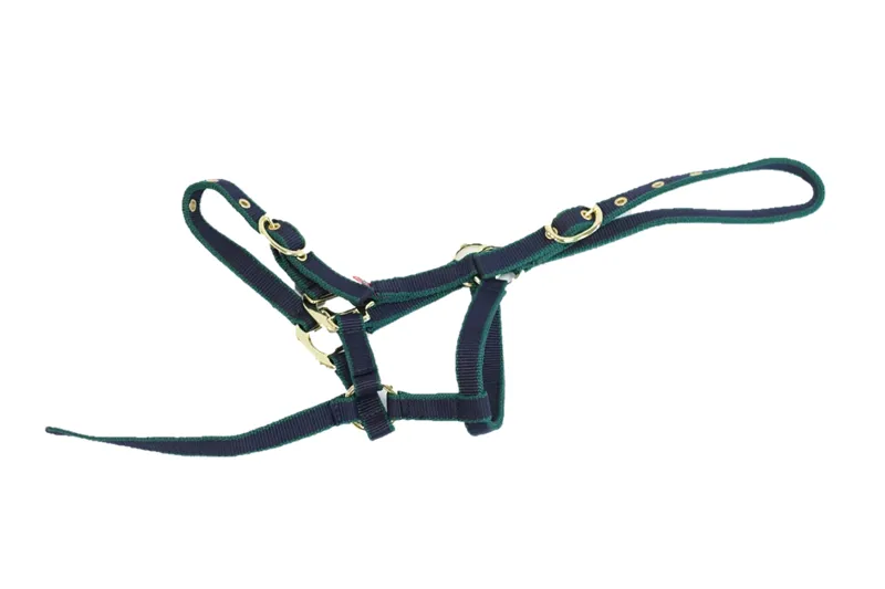 Equisential Nylon Headcollar Foal Navy/Green