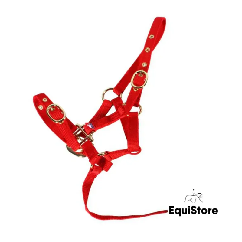 Equisential Nylon Headcollar Suckling Black-1