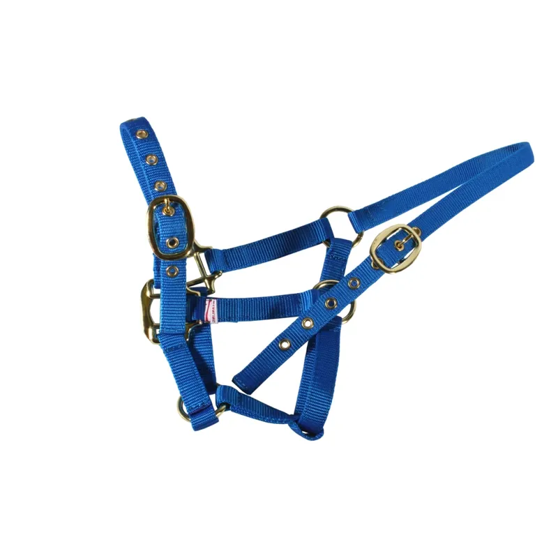 Equisential Nylon Headcollar Foal Royal