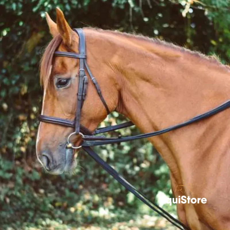 Equisential Padded Draw Reins Black-1