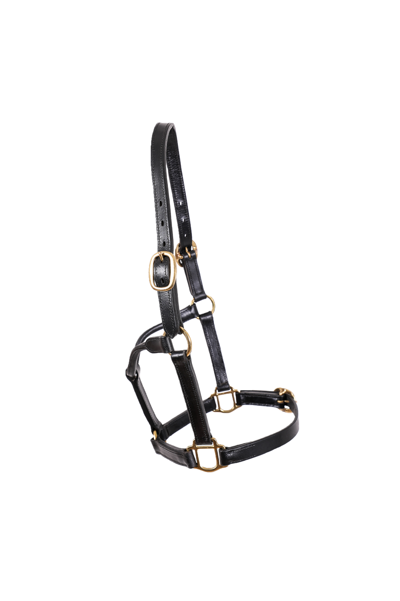 Breeze Up Full Grain Leather Headcollar Black
