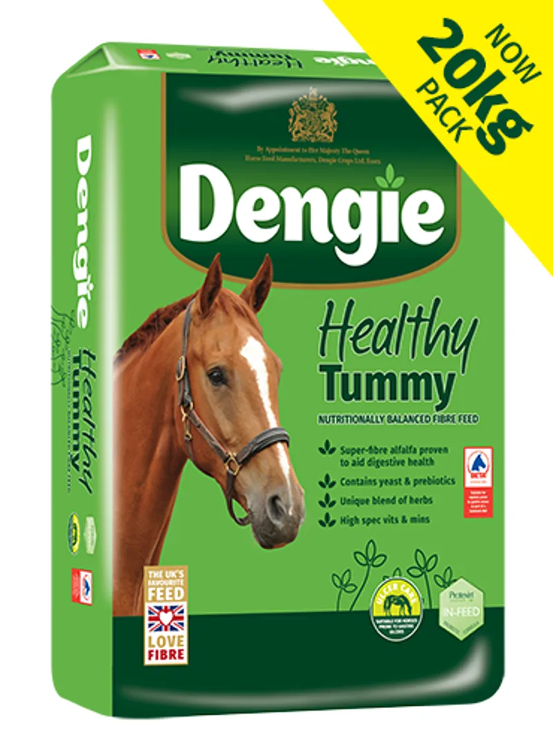 Dengie Healthy Tummy Feed 20kg
