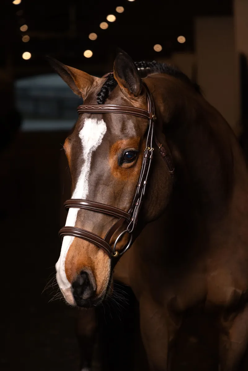Le Mieux Kudos Double Noseband Bridle Havana/Brass