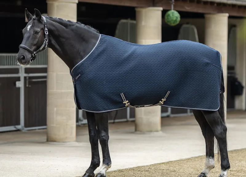 Le Mieux Kudos 3D Mesh Travel Rug Navy