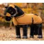 Le Mieux Toy Pony Rug Ginger