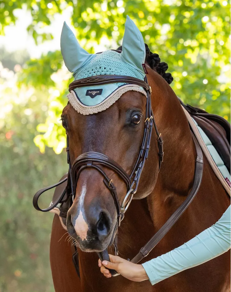 Le Mieux Loire Fly Hood Aqua