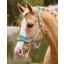 Le Mieux Vogue Headcollar and Leadrope Lagoon