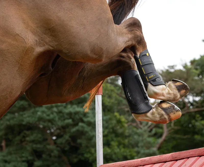 Le Mieux MIMSafe XC Boot Hind Black-1