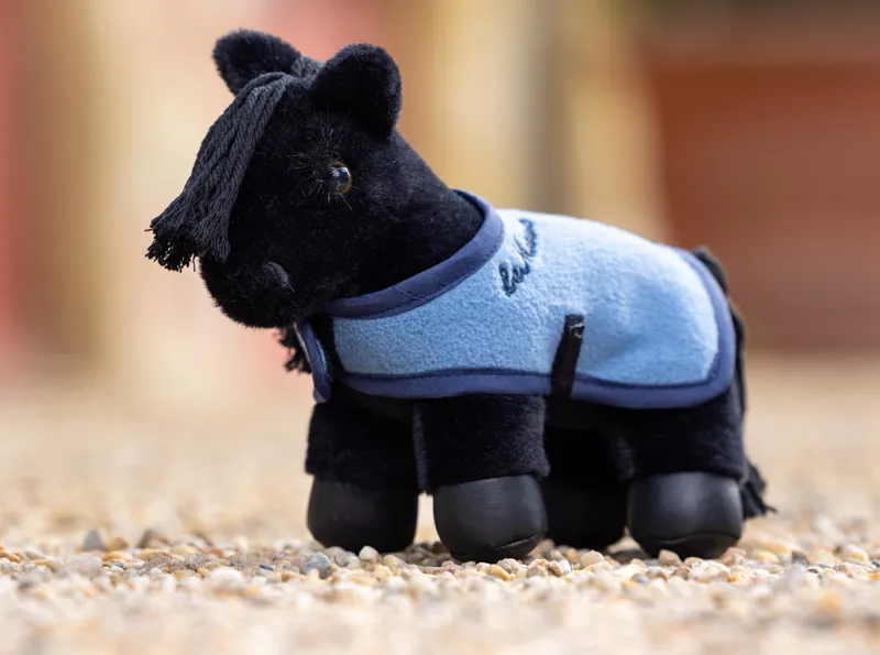 Le Mieux Tiny Pony Skye