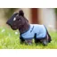 Le Mieux Tiny Pony Freya