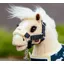 Le Mieux Toy Pony Lemon Vogue Headcollar and Leadrope