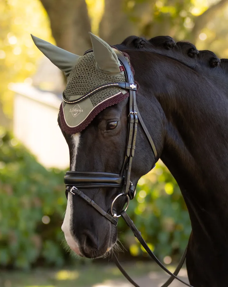 Le Mieux Classic Fly Hood Rosemary