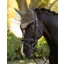 Le Mieux Classic Fly Hood Rosemary