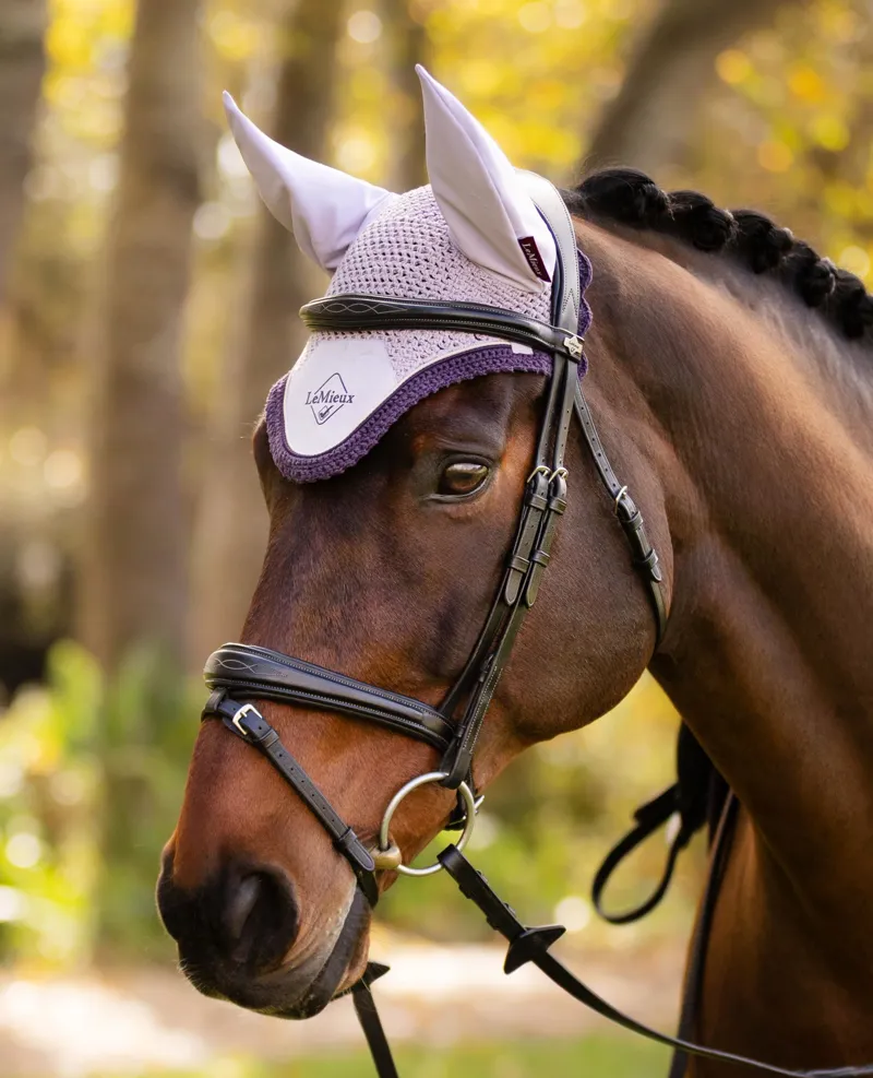 Le Mieux Classic Fly Hood Lilac