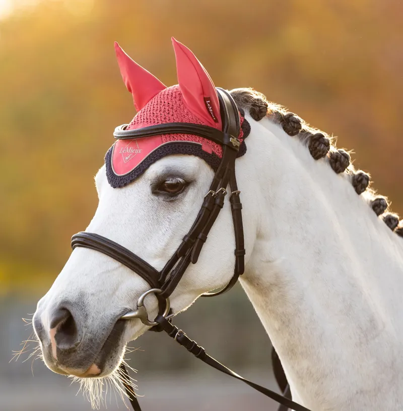 Le Mieux Classic Fly Hood Cranberry