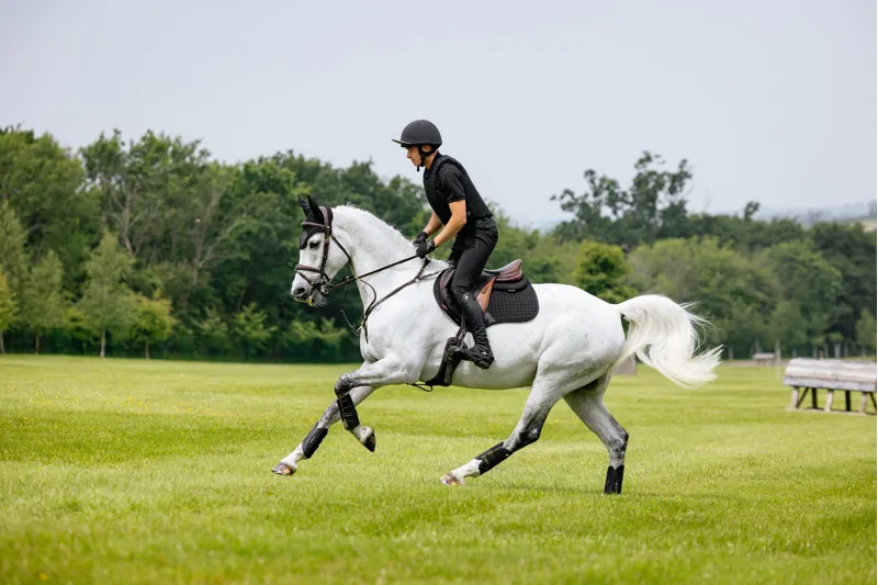 LeMieux Close Contact Cotton Numnah Black Large-1