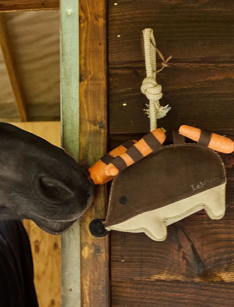 Le Mieux Horse Toy Hedgehog