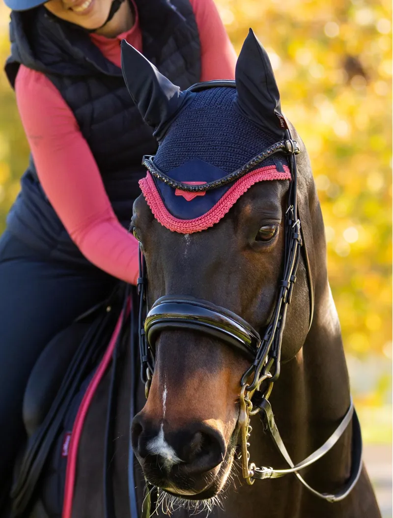 Le Mieux Loire Fly Hood Navy/Cranberry