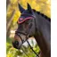 Le Mieux Classic Fly Hood Navy/Cranberry