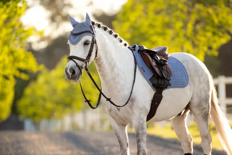 LeMieux Classic Fly Hood Powder Blue 