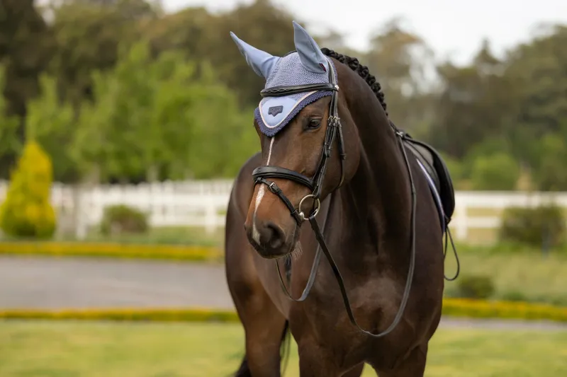 LeMieux Loire Fly Hood Powder Blue