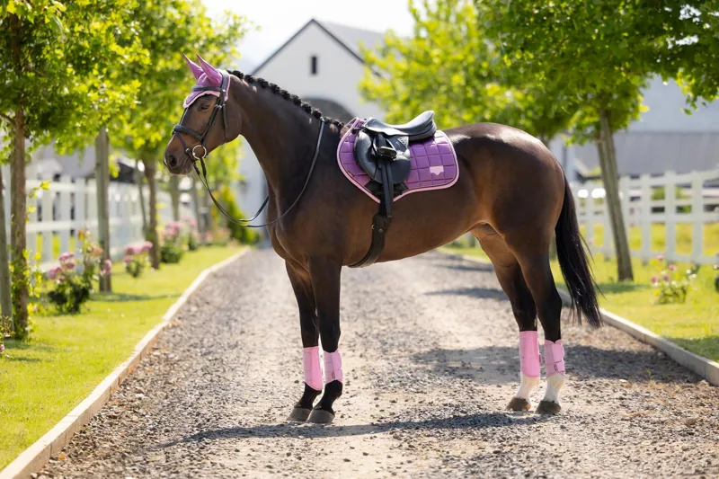 LeMieux Loire Classic Close Contact Square Mallow -1