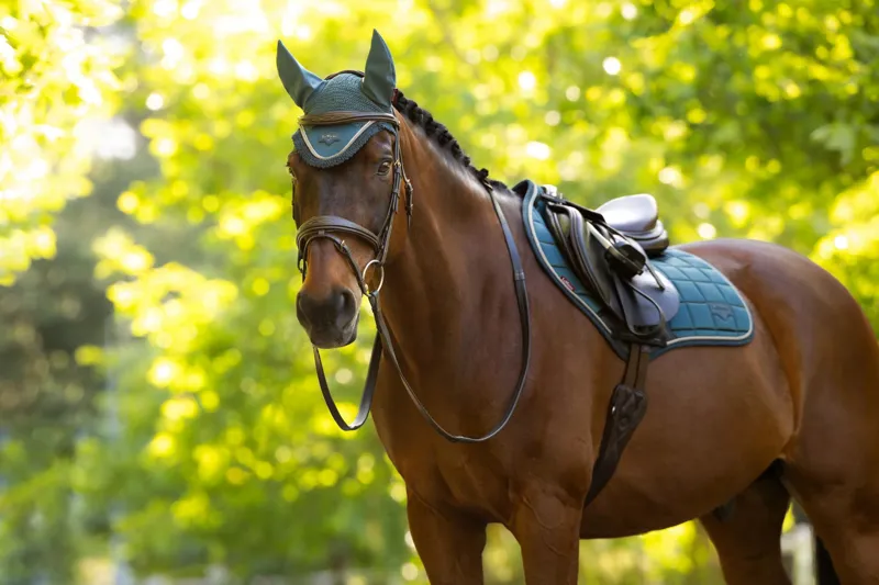 LeMieux Loire Classic Close Contact Square Jungle -1