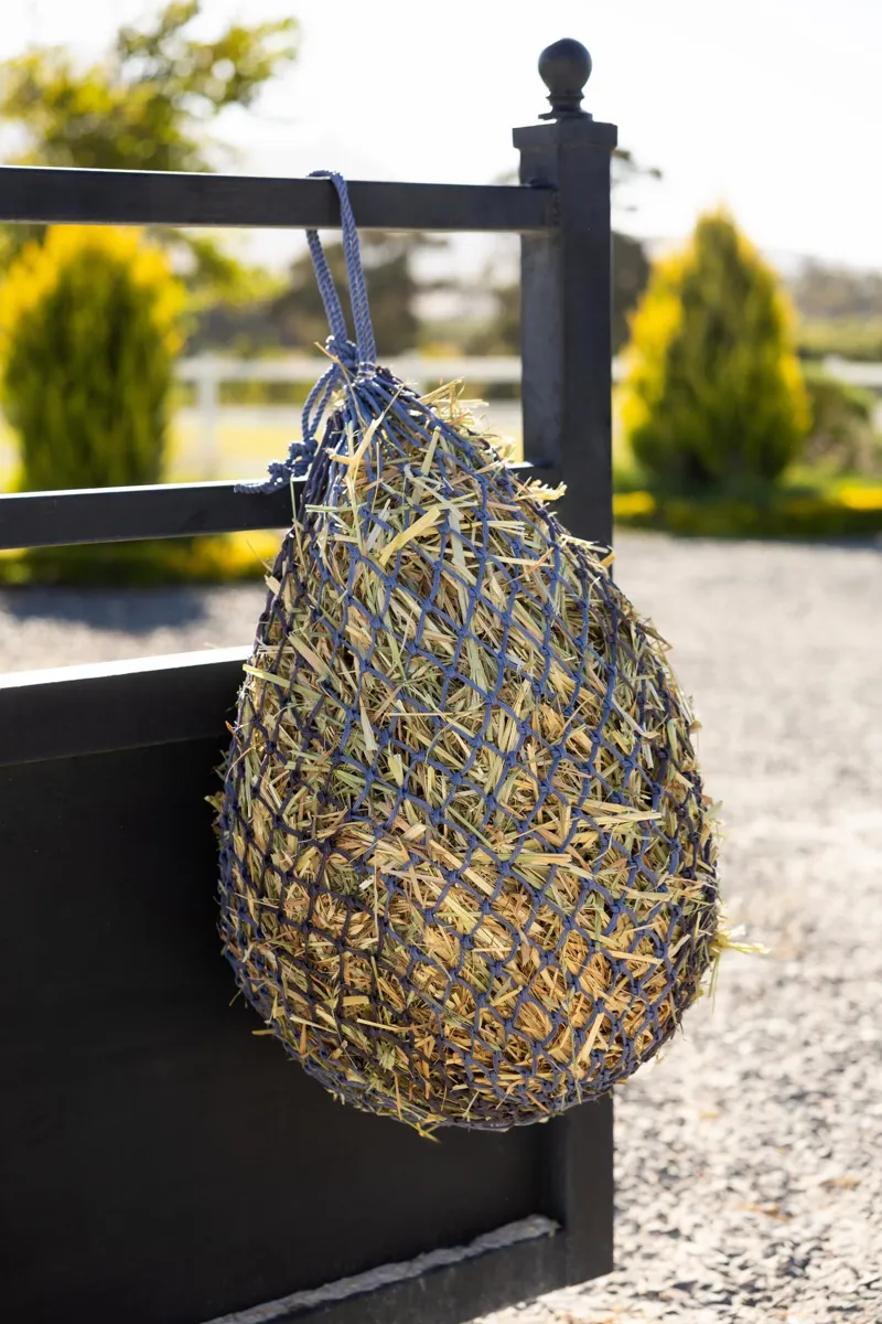 LeMieux Hippo Haynet Powder Blue