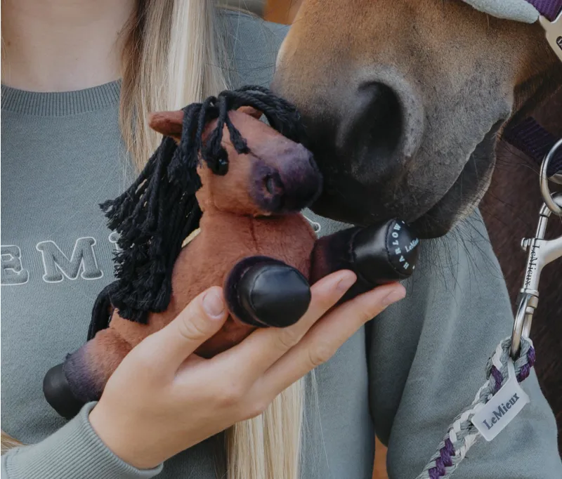 Le Mieux Harlow Tiny Beanie Pony Rolo