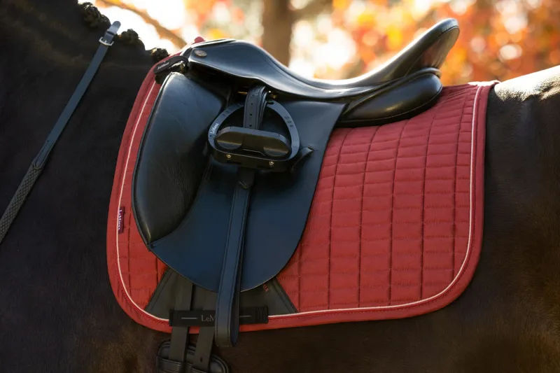 LeMieux Loire Classic Dressage Square Russet-1