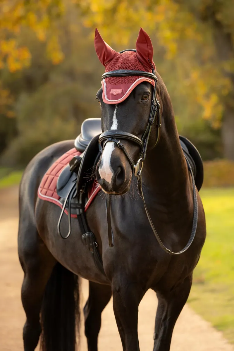 LeMieux Loire Fly Hood Russet-1