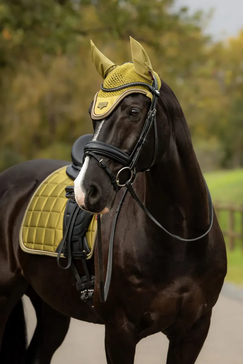 LeMieux Loire Fly Hood Gooseberry-1