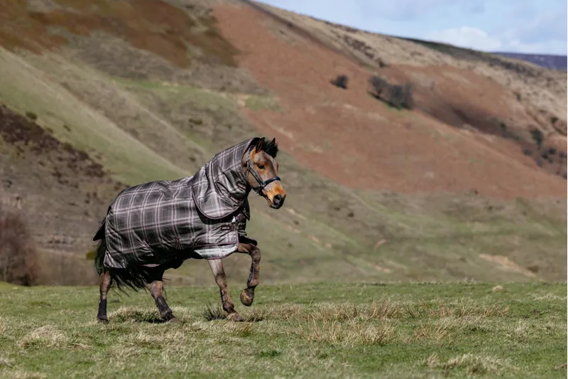 Arika Heritage Check 100g Turnout Rug Cocoa-3