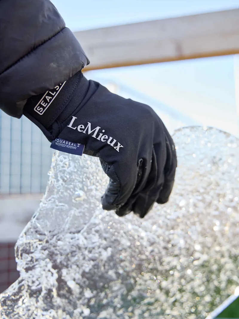 LeMieux x Sealskinz Waterproof Glove Black