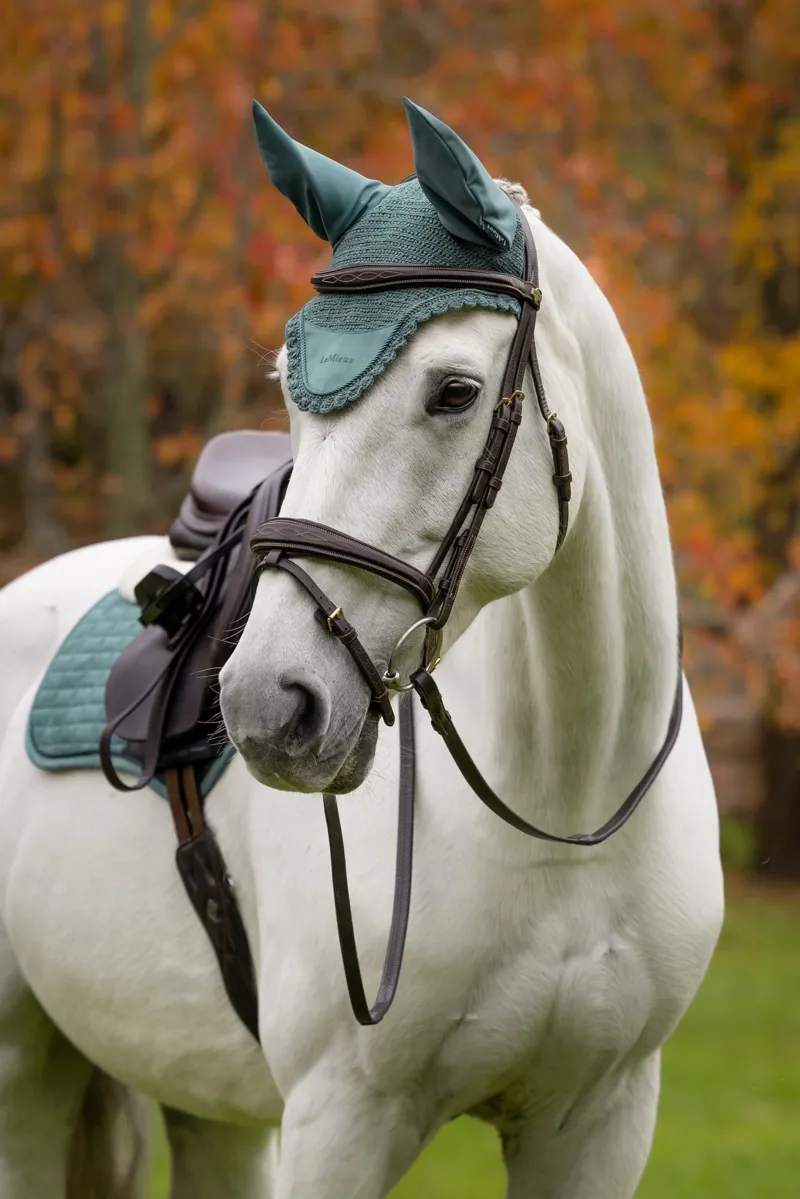 Classic Fly Hood Aloe