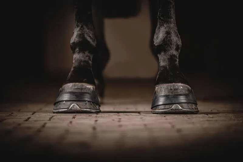 One Equestrian Hoofband