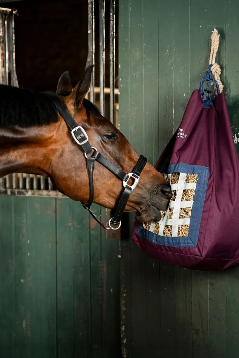 Horseware Revive Haybag Fig/Navy-2