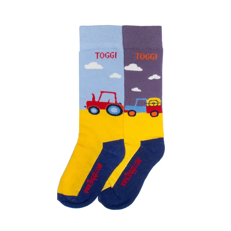 Toggi Lawrence Childrens 2 Pack Socks Mustard/Sky